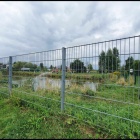 zdjęcie nr 10