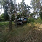 Fotka nr 2 z 4