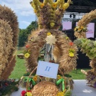 zdjęcie nr 11