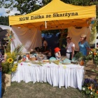 zdjęcie nr 103