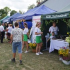 zdjęcie nr 105