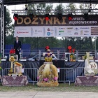 zdjęcie nr 50