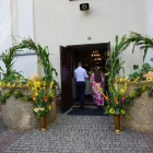 zdjęcie nr 7