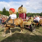 zdjęcie nr 92