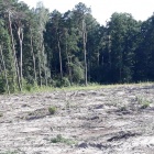 zdjęcie nr 17