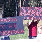zdjęcie nr 10