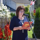 zdjęcie nr 43