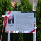 zdjęcie nr 44