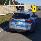 Fotka nr 1 z 2