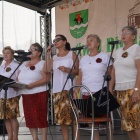 zdjęcie nr 72