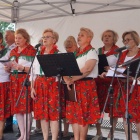 zdjęcie nr 144