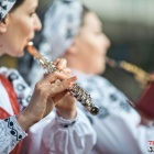 zdjęcie nr 163