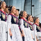 zdjęcie nr 165