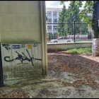 Fotka nr 5 z 12