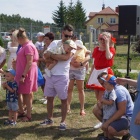 Fotka nr 1 z 53