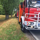 Fotka nr 5 z 6