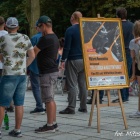 zdjęcie nr 31