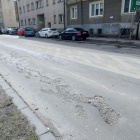 zdjęcie nr 10