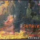 zdjęcie nr 12