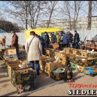 zdjęcie nr 50