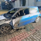 Fotka nr 4 z 8