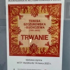 zdjęcie nr 13