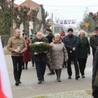 zdjęcie nr 12
