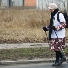 zdjęcie nr 42