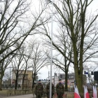 Fotka nr 5 z 95