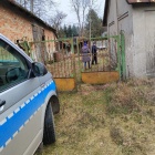 Fotka nr 4 z 6