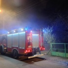 Fotka nr 5 z 6