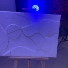 zdjęcie nr 173