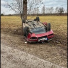 Fotka nr 2 z 4