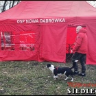 zdjęcie nr 14