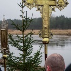 zdjęcie nr 115