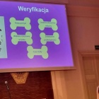 zdjęcie nr 19