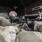 Fotka nr 5 z 19