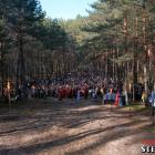 zdjęcie nr 254