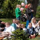 zdjęcie nr 31