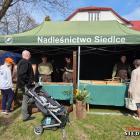 zdjęcie nr 86