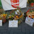 zdjęcie nr 200