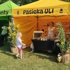 zdjęcie nr 21