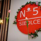 zdjęcie nr 61