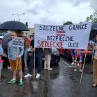 zdjęcie nr 12