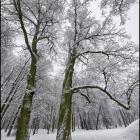 zdjęcie nr 63