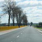 zdjęcie nr 33