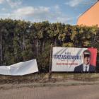 zdjęcie nr 10