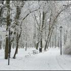 zdjęcie nr 39