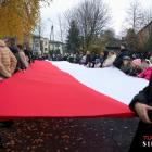 zdjęcie nr 126