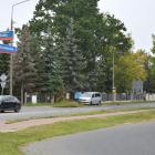 zdjęcie nr 16